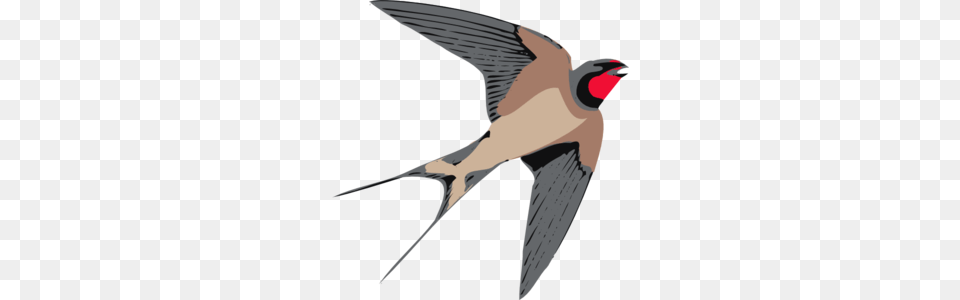 Sparrow Clip Art, Animal, Bird, Swallow, Person Png