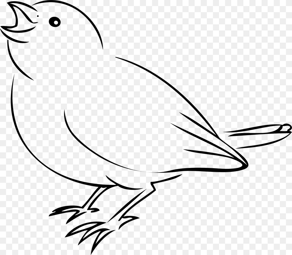 Sparrow Clip Arts Dibujos Faciles De Aves, Gray Png Image