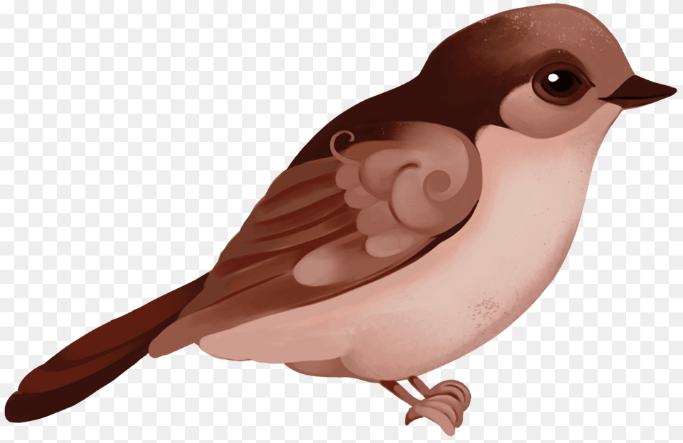 Sparrow Clipart, Animal, Bird, Finch, Fish Png Image