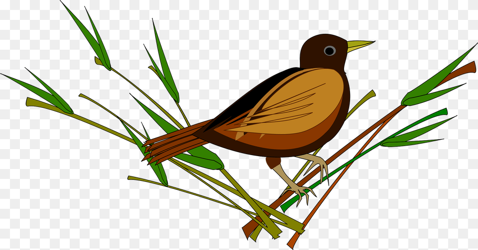 Sparrow Clipart, Animal, Bird, Finch, Blackbird Png