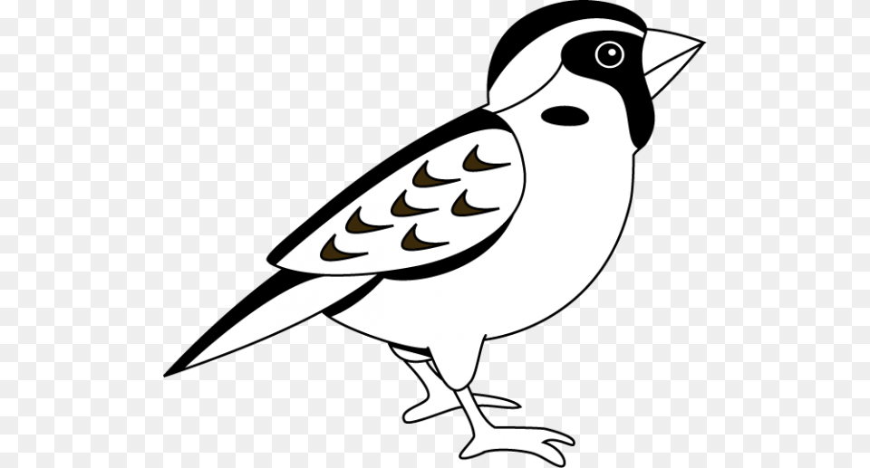 Sparrow Clipart Nice Clip Art, Stencil, Animal, Bird Png