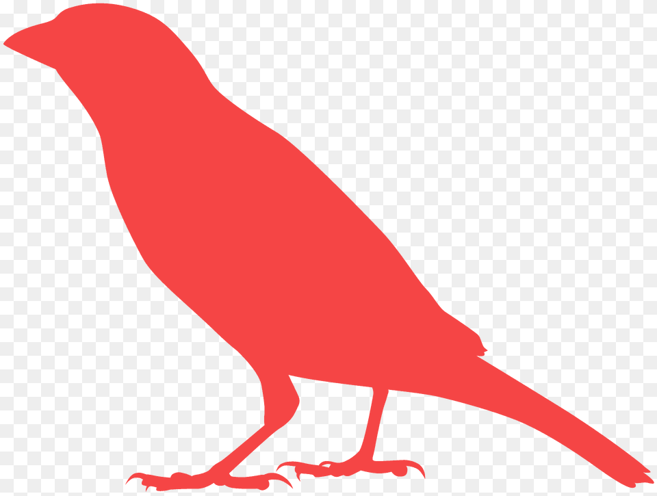 Sparrow Silhouette, Animal, Bird, Canary, Fish Png