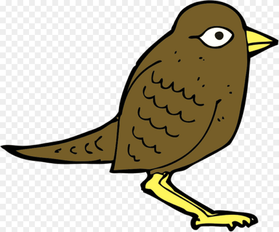 Sparrow Vector Graphics, Animal, Beak, Bird, Person Free Png