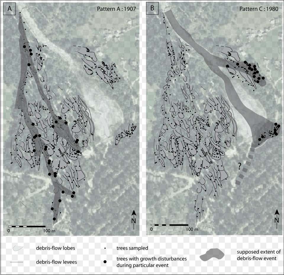 Spatial Propagation Of Debris Flows On A Cone As Reconstructed Debris Flow, Outdoors, Vegetation, Plant, Tree Png