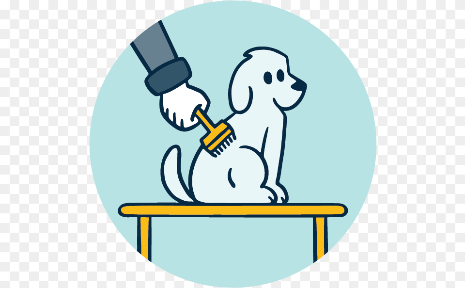 Spaw Groom Hand Cartoon, Brush, Device, Tool, Animal Free Png Download