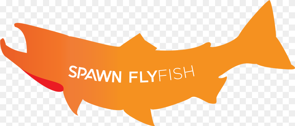 Spawn Fly Fish, Animal, Sea Life, Shark, Logo Png