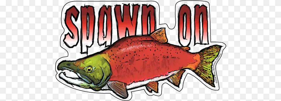 Spawn On Sockeye Salmon Vinyl Sticker Sticker, Animal, Coho, Fish, Sea Life Free Transparent Png