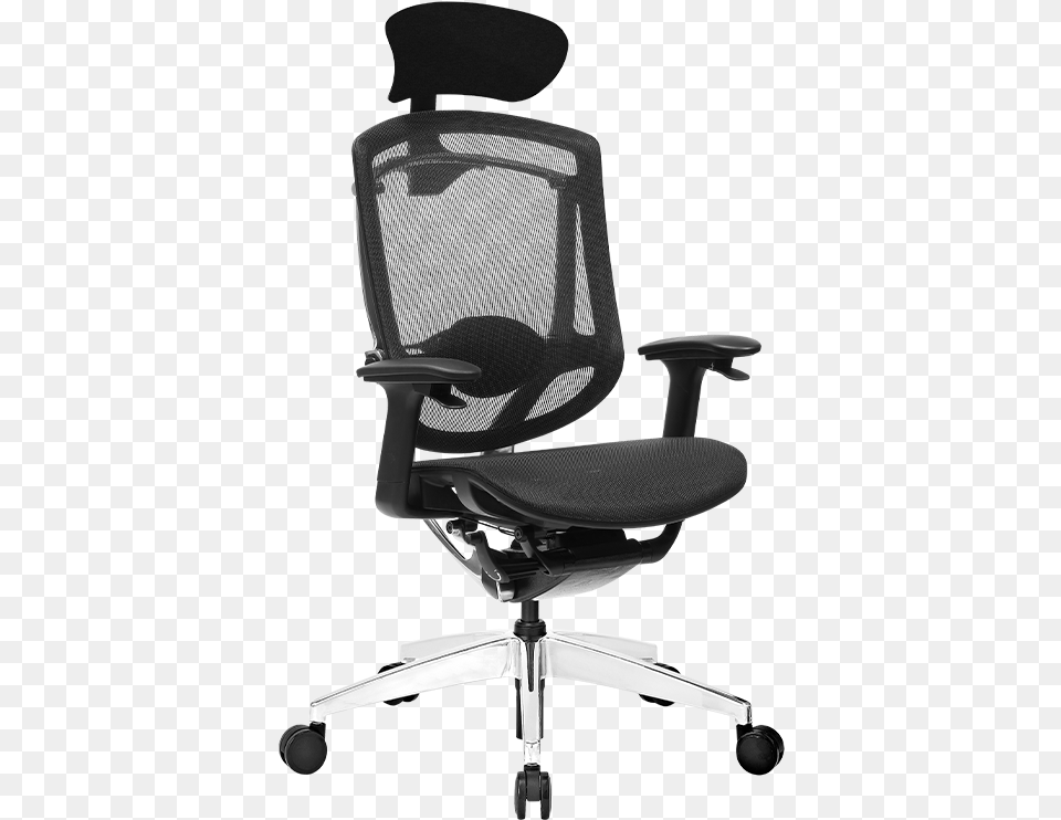 Spc Gear Eg950 Ergonomic Chair, Cushion, Furniture, Home Decor, Indoors Png