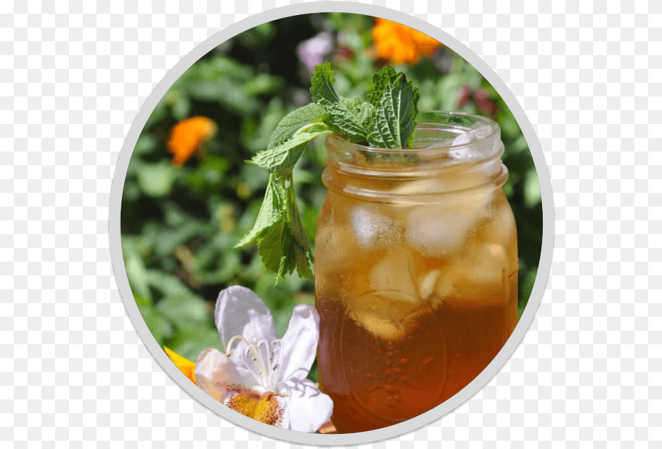 Speak Easy Throat Coat Tea Iced Tea, Herbs, Mint, Plant, Alcohol Png Image