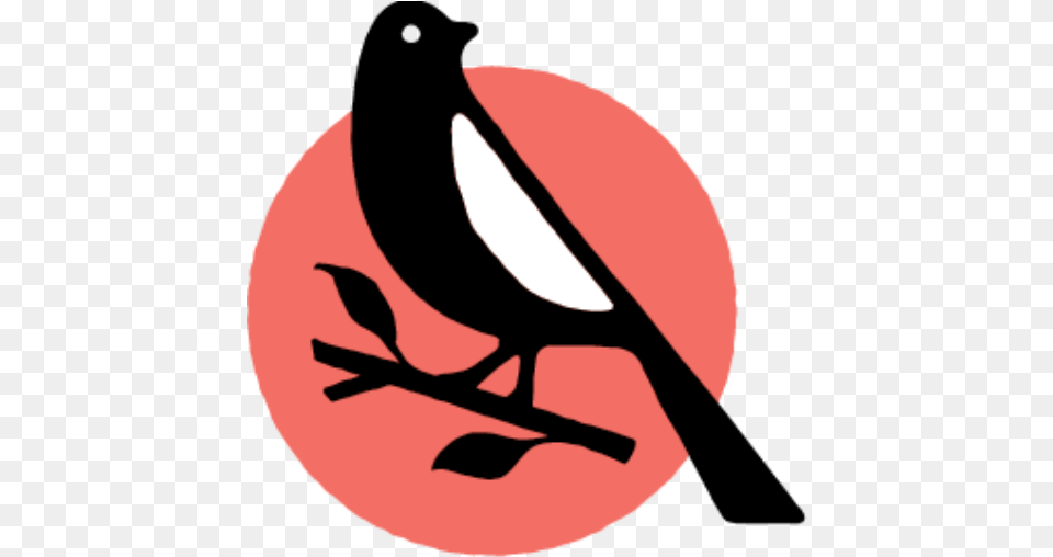 Speakers U2013 Mockingbird Events Perching Bird, Animal, Magpie, Fish, Sea Life Png Image