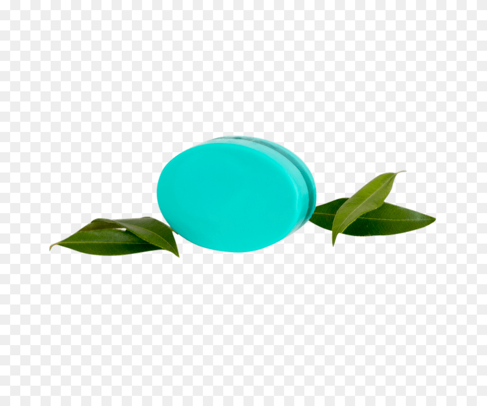 Spearmint Myrtle Body Bar, Leaf, Plant, Turquoise, Green Free Transparent Png