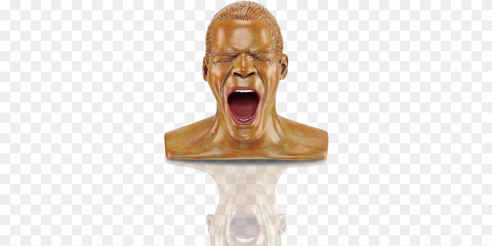 Special Anniversary Edition Of The Tried And Tested Oehlbach Scream Anniversary, Bronze, Face, Head, Person Png Image