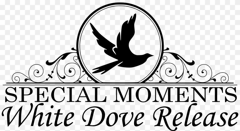 Special Moments White Dove Release, Stencil, Animal, Bird, Text Png