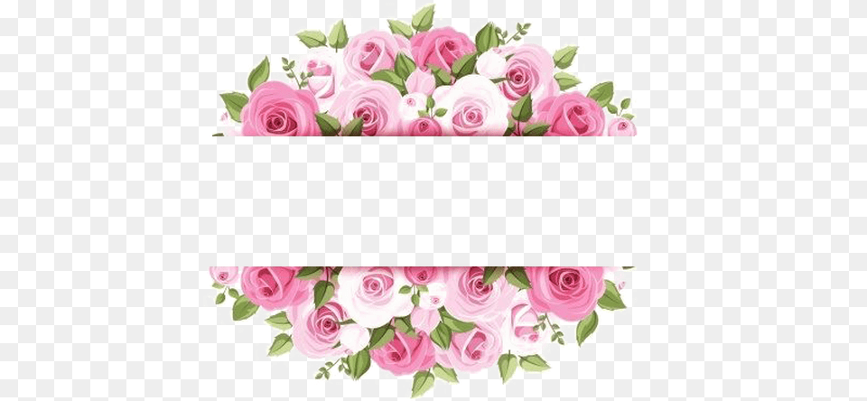 Special Offers Rose Pink Vector, Art, Floral Design, Flower, Graphics Png