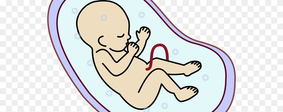 Special Prayers For My Unborn Baby In The Womb, Person Png
