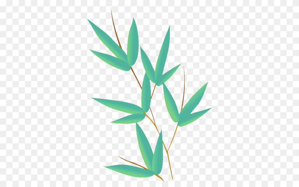 Special Programs Bamboo Leaf Vector, Herbal, Herbs, Plant, Green Free Png