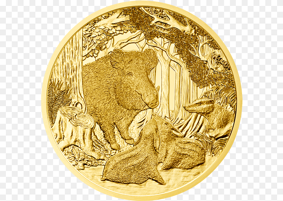 Specification Boar Coin, Gold, Animal, Bear, Mammal Png Image