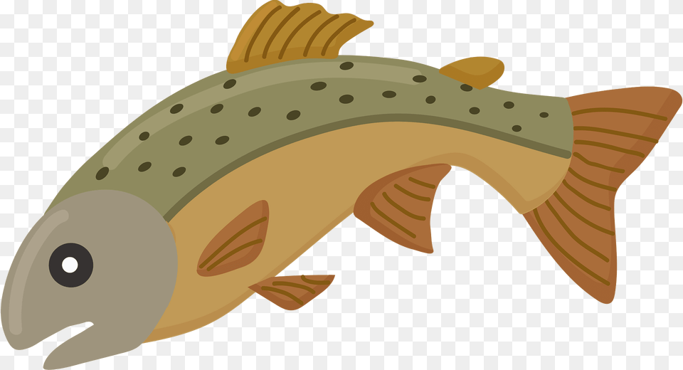 Speckled Trout Clipart, Animal, Fish, Sea Life, Shark Free Transparent Png