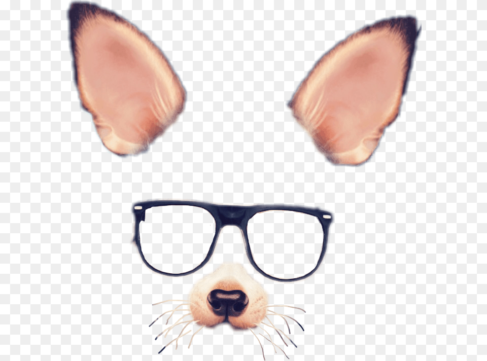 Spectacles Snapchat Photographic Filter, Accessories, Glasses, Sunglasses, Goggles Free Transparent Png
