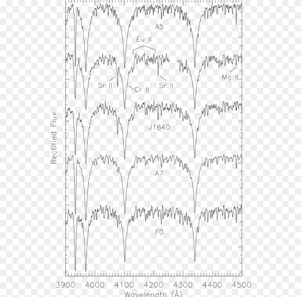 Spectra Of J1640 Compared To Mk Standard Stars As Labeled Michael Kors, Gray Free Png Download