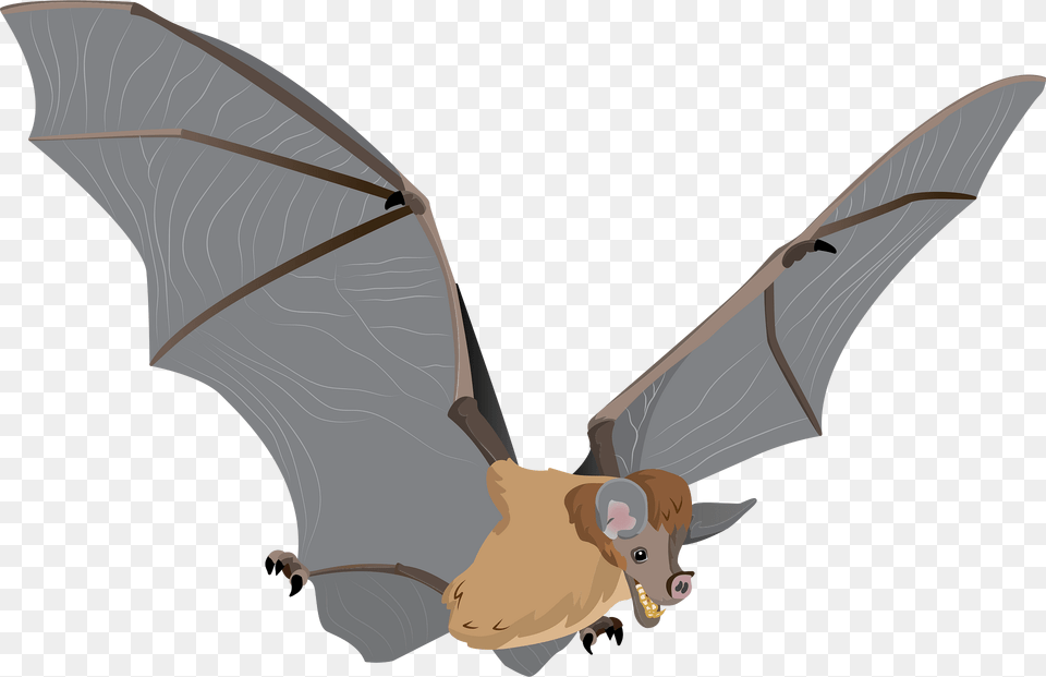 Spectral Bat Clipart, Animal, Wildlife, Mammal Png Image