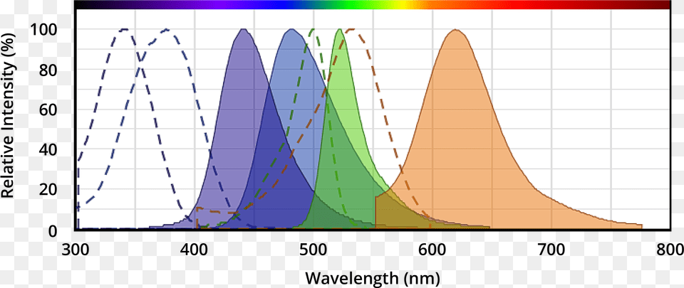 Spectrum Viewer Aat Bioquest Diagram, Chart, Plot Free Png Download