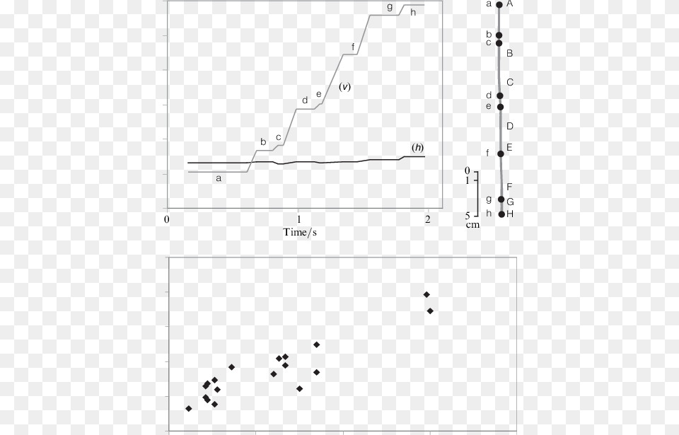 Speed Drawing Line Drawing, Chart, Scatter Plot Free Png