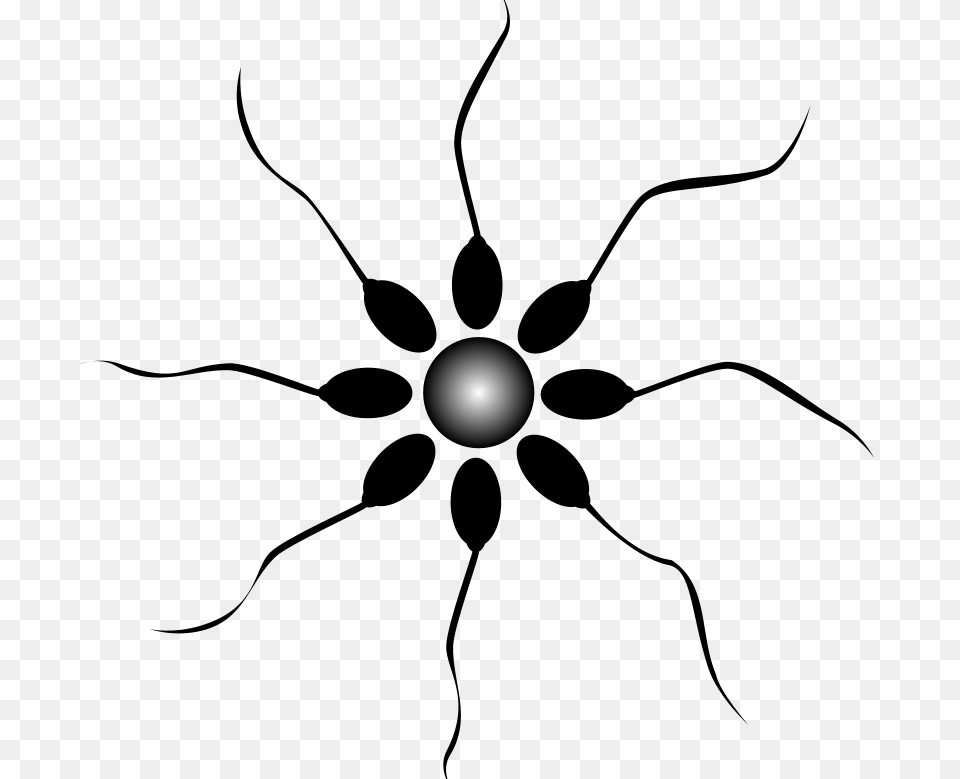 Sperm, Nature, Night, Outdoors, Astronomy Free Transparent Png