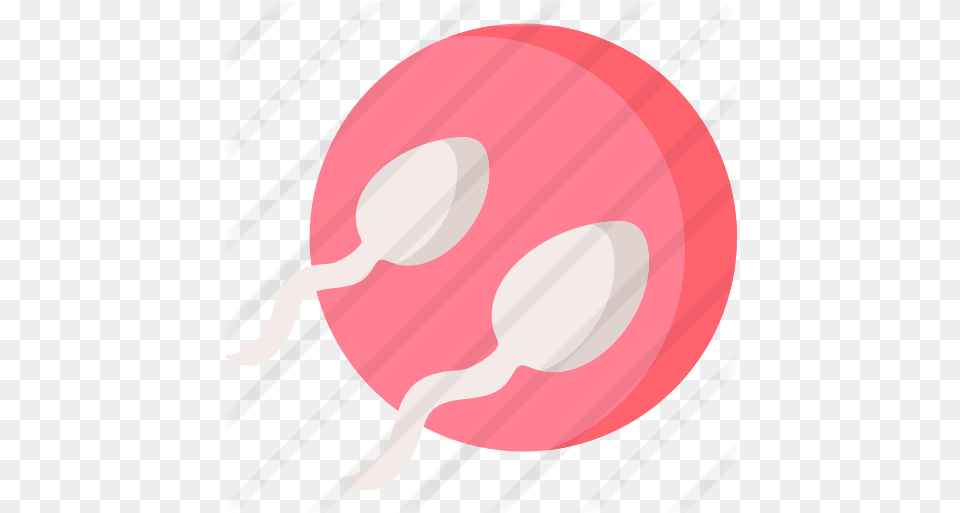 Sperm Circle, Food, Plant, Produce, Radish Png Image