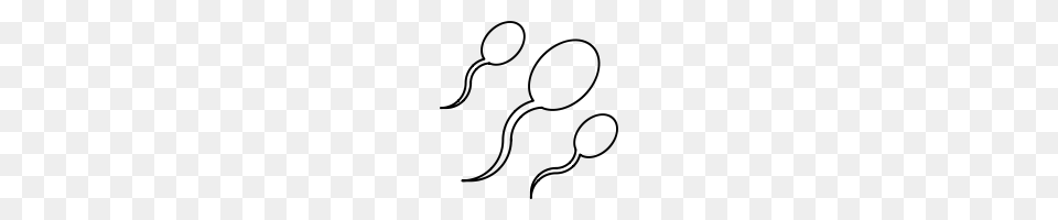 Sperm Image, Gray Free Png Download