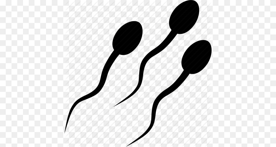 Sperm Image, Animal Png