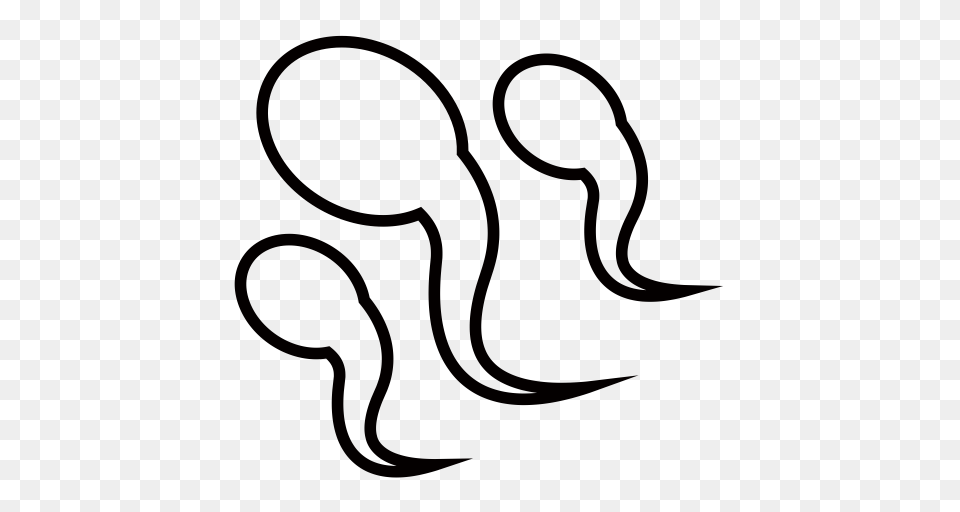 Sperm Linear Sperm Icon With And Vector Format For Png