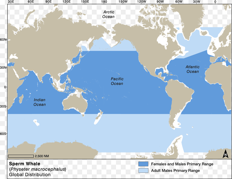 Sperm Whale Global Distribution C Map Max Na M024 Us West Coast Amp Hawaii, Chart, Plot, Atlas, Diagram Png Image