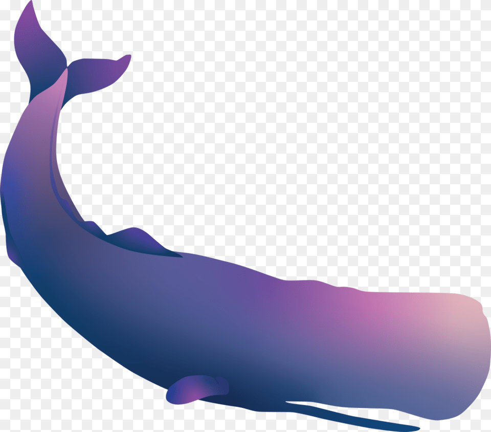 Sperm Whale Whale, Animal, Sea Life, Mammal, Fish Free Transparent Png