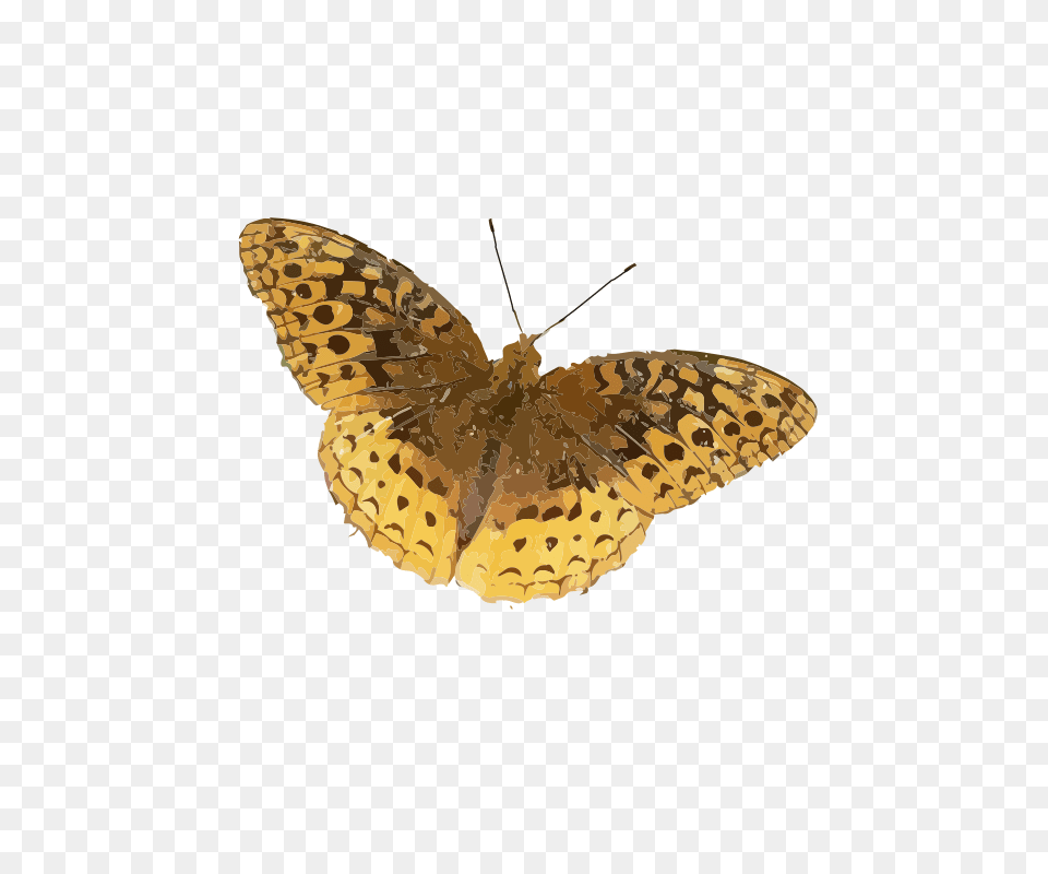 Speyeria Cybele, Animal, Butterfly, Insect, Invertebrate Free Png Download