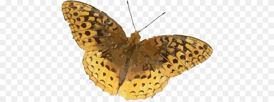 Speyeria Cybele Brown Orange Butterfly, Animal, Insect, Invertebrate, Moth Free Png