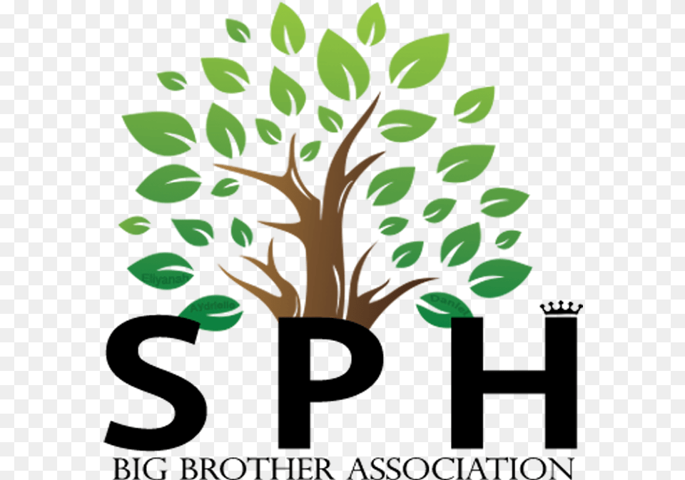 Sph Big Brother Foundation Powershift Africa, Leaf, Plant, Art, Tree Png Image