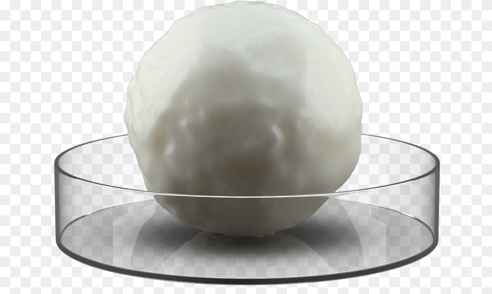 Sphere, Egg, Food, Art, Porcelain Png Image