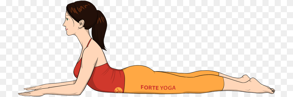 Sphinx Yoga Pose Forte Yoga Sphinx Yoga, Adult, Female, Person, Woman Free Png Download