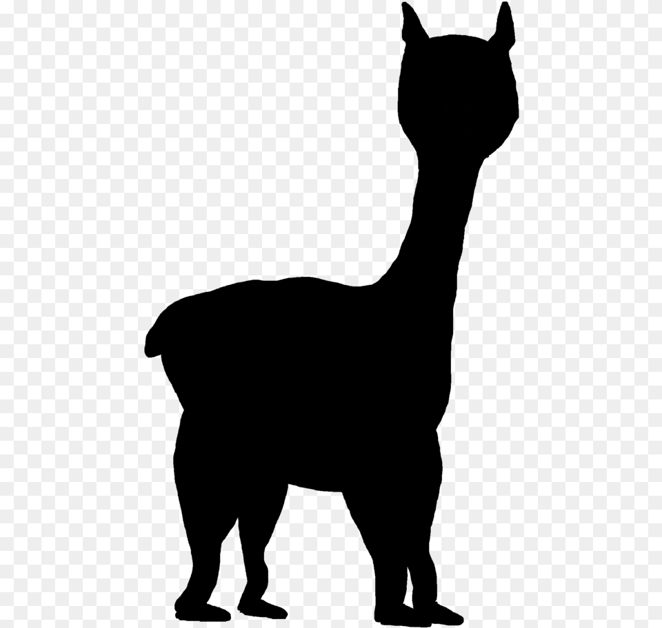 Sphynx Cat Clip Art Whiskers Silhouette Portable Network Horse And Llama Clip Art, Gray Free Png