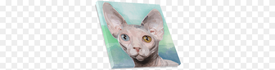 Sphynx Cat Sphynx, Animal, Mammal, Pet, Egyptian Cat Free Transparent Png