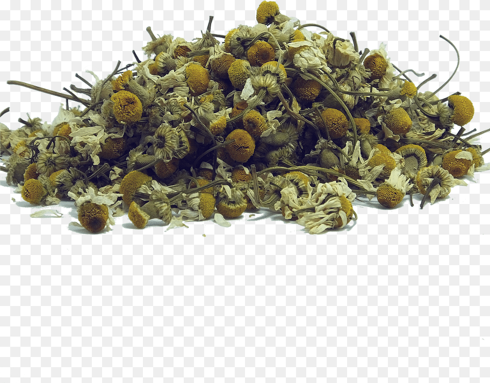 Spices Free Transparent Png