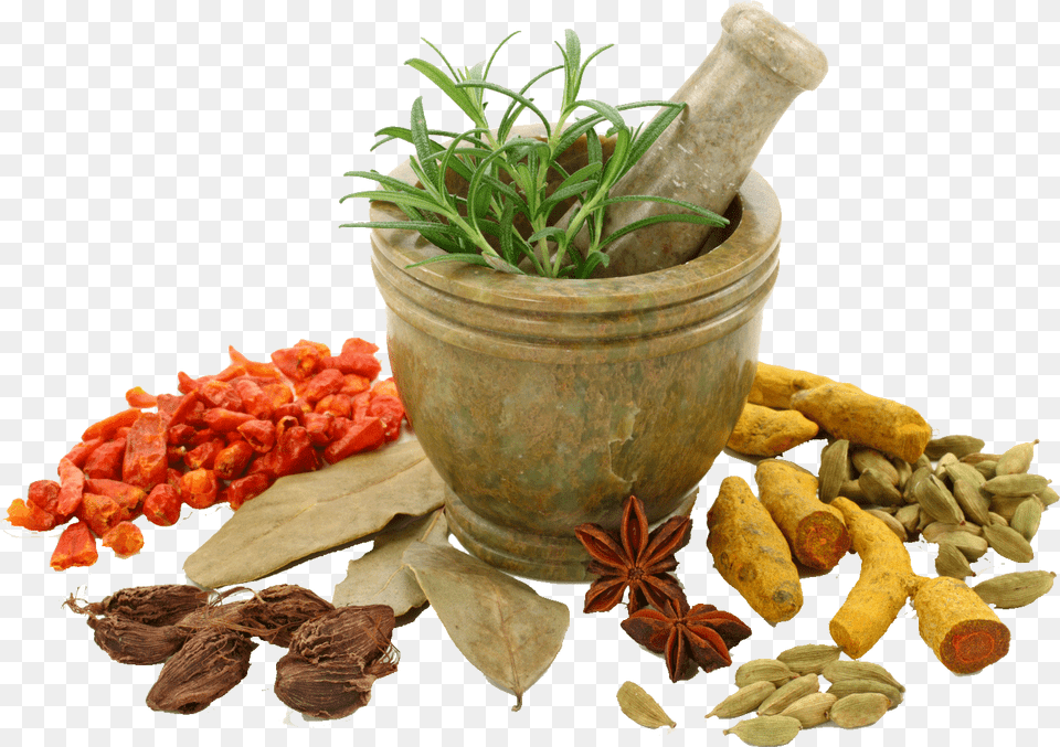 Spices Photo Herbal, Herbs, Plant, Food, Spice Png