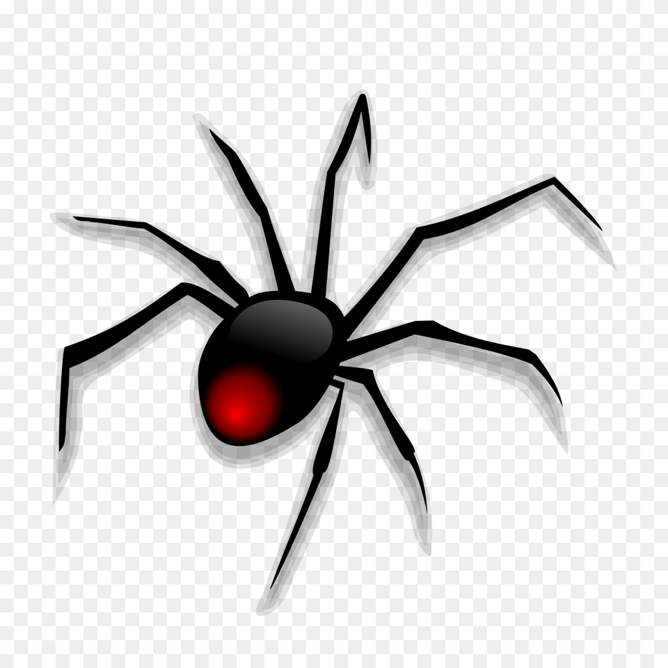 Spider, Light, Lighting Free Png