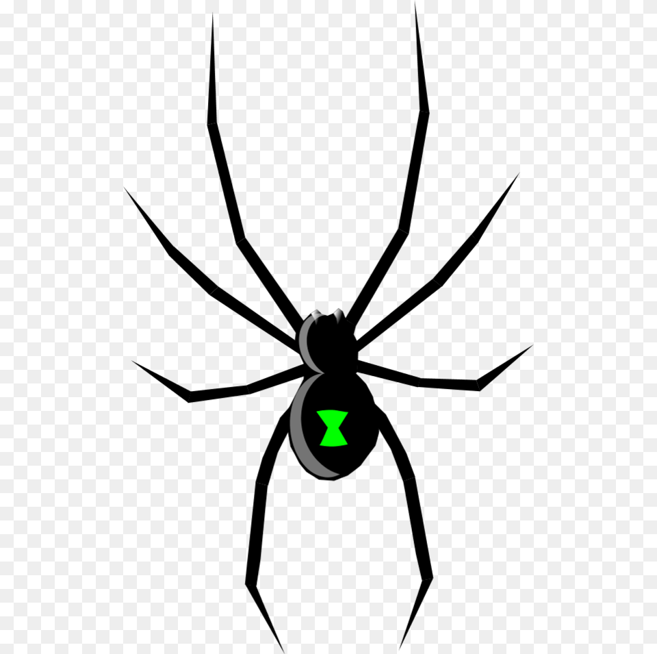 Spider, Nature, Night, Outdoors, Light Free Transparent Png