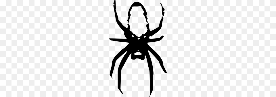 Spider Gray Png Image