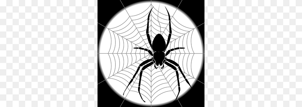 Spider Animal, Invertebrate, Chandelier, Lamp Free Transparent Png