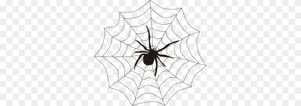 Spider Chandelier, Lamp, Spider Web, Animal Png