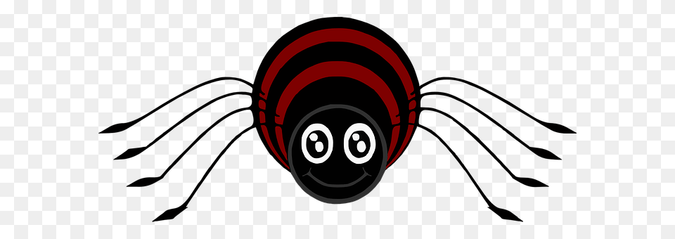 Spider Free Transparent Png