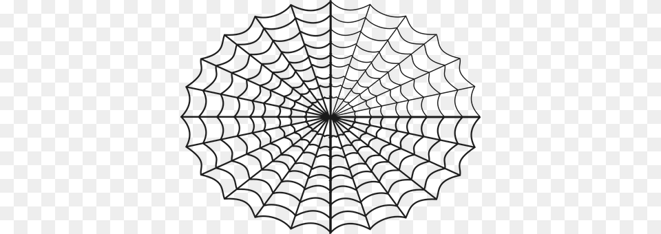 Spider Spider Web Free Transparent Png